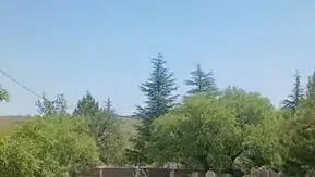 Harput'ta sıra dışı misafirler mezarlıklarda ortaya çıktı