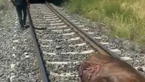 Elazığ Palu hattında tren kazası trafiği kilitledi