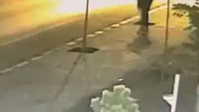 Patnos’ta yeşil alanlara zarar veren kişi yakalandı