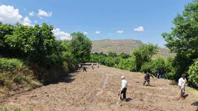 Gercüşlü çiftçiler tescilli pirinçleri toprakla buluşturmaya başladı