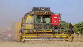 Mardin çiftçisi bereketli bir hasat dönemi yaşıyor