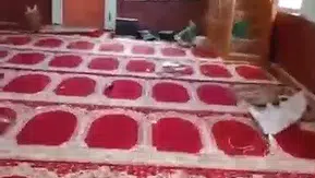 Elazığ’da tahrip edilen camiyi belediye ekipleri kısa sürede onardı