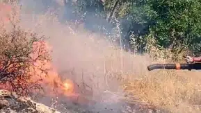 Hani ilçesindeki ormanlık alanda yangın paniği yaşanıyor