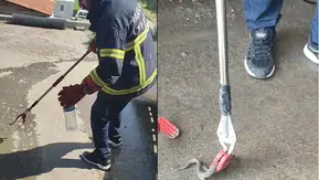 Hakkari’de otomobil motoruna gizlenen yılan itfaiye yardımıyla kurtarıldı