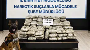 Yüksekova polisinden uyuşturucu operasyonu ile büyük miktarda skunk yakalaması
