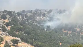 Çüngüş ilçesindeki yaylada çıkan örtü yangınına ekiplerden müdahale