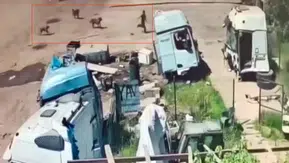 Silopi’de sokak köpeklerinin hedefi olan çocuk son anda kurtarıldı