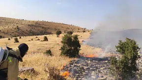 Mazıdağı bölgesinde çıkan anız yangını itfaiye ekipleri tarafından söndürüldü