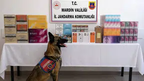 Mardin Jandarmasından kaçak tütün ürünlerine yönelik geniş çaplı baskın