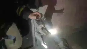 Şanlıurfa'da bodrum katındaki yangından iki yavru kedi sağ çıkarıldı