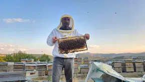 Tunceli dağlarında arıcıların bal hasadı mesaisi başladı