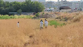 Şanlıurfa Yenice Mahallesindeki tarlada cansız bir erkek bedeni bulundu