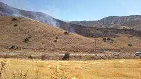 Keban ilçesindeki tarım arazisinde çıkan yangın kontrol altına alındı