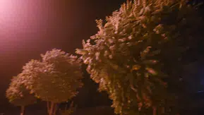 Elazığ’da bunaltıcı sıcaklar gece saatlerinde yerini sert rüzgarlara bıraktı