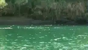 Dicle Nehrinde Piknik Sırasında Devrilen Bottan Bir Genç Kadın Hayatını Kaybetti
