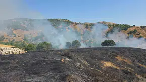 Genç'teki kırsal yangın ekiplerin müdahalesiyle kontrol altına alındı