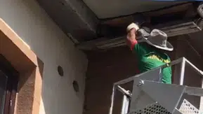 Yüksekova'da mahsur kalan güvercin itfaiye ekipleri tarafından kurtarıldı