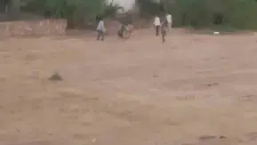 İpinden kurtulan inek sahibine boynuzuyla saldırdı
