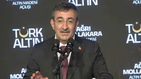Ağrı'daki altın madeni 5 yılda ekonomiye 2,5 milyar dolar kazandıracak