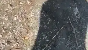 Elazığ Hazar Gölü kıyısında yılanlı şaka kameraya yansıdı