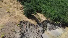 Bingöl Ilıcalar bölgesinde nadir rastlanan dağ keçisi dronla kaydedildi