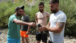 Tunceli'de ağaca çarpıp suya düşen kızıl şahin kurtarıldı