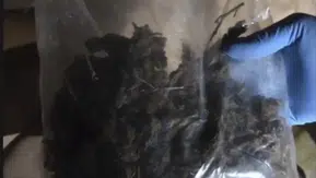 Bingöl polisi bir haftalık operasyonla suçlulara göz açtırmadı