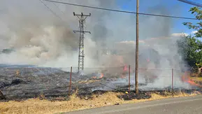 Bingöl Güveçli köyünde çıkan otluk yangını büyümeden söndürüldü