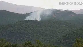 Bingöl Genç ilçesindeki orman yangını ekiplerin müdahalesiyle söndürüldü