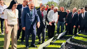 Şırnaklı üreticilere kışlık fide ve çoban çantası desteği verildi
