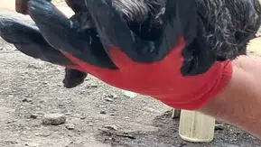 Ağrı Patnos'ta zifte saplanan yavru kedi itfaiye ekiplerince kurtarıldı