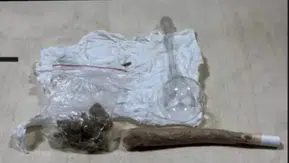 Bingöl Emniyeti bir haftalık operasyonlarda 30 kişiyi yakaladı