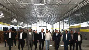 Ağrı Valisi Bozkurt Diyadin Jeotermal Sera Bölgesinde İncelemeler Yaptı