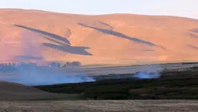 Van Özalp'teki Çırak Sazlığı'nda geniş çaplı yangın paniği