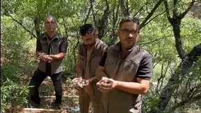 Tunceli'de endemik dağ sarımsağını izinsiz toplayanlara 2 milyon lira ceza