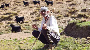 Bursa'dan köyüne döndü, hayvancılıkla geçimini sağlıyor