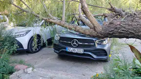 Keban'da şiddetli fırtına ağacı park halindeki araçların üzerine devirdi