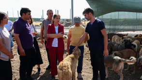Eşbaşkan Bucak, Doğal Yaşam Alanı’ndaki canlıları inceledi