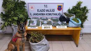 Elazığ kırsalında uyuşturucu operasyonu düzenlendi