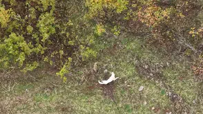 Muş kırsalında çoban köpeği ile porsuğun nefes kesen mücadelesi görüntülendi