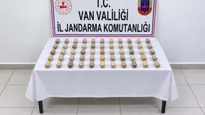 Van otogarında yakalanan şahsın midesinden 55 kapsül uyuşturucu çıktı