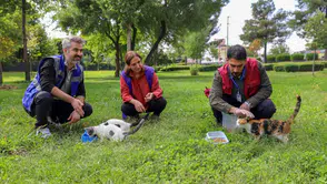 Diyarbakır sokak hayvanları için seferber oldu