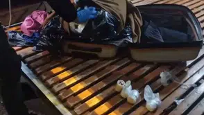 Şanlıurfa'da yolcu otobüsünde kazağa gizlenmiş uyuşturucu hap yakalandı