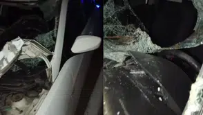 Bingöl yolunda inek kazası dört kişiyi hastanelik etti