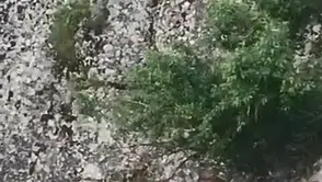 Harput'un tarihi sokaklarında sürpriz ziyaretçiler