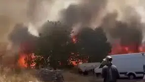 Diyarbakır Çarıklı'da büyük yangın ekili arazileri küle çevirdi