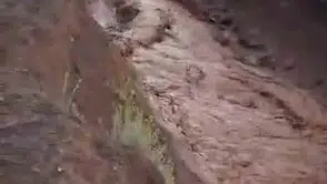 Van'ın Saray ilçesinde sel baskını yolları kapattı