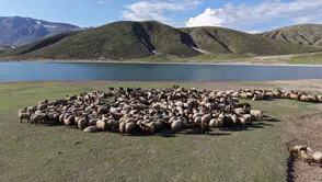 Göçerlerin serin yayla yolculuğu başladı