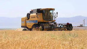 Elazığ çiftçisinin arpa hasadında yağış sürprizi