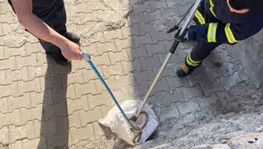 Siirt'te bahçeye giren 1,5 metrelik yılan paniğe neden oldu?